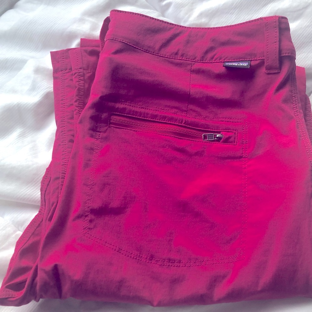 Patagonia Hiking Pants